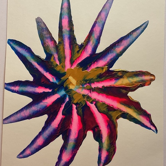 Shimmer - Picture 1 of 1